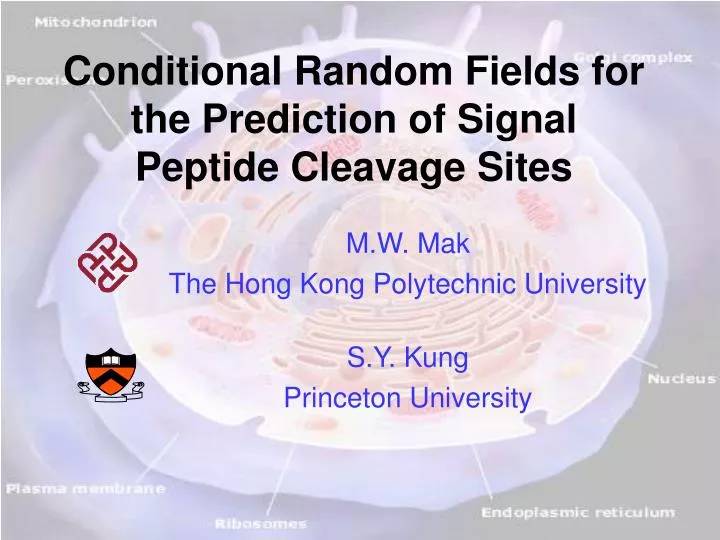 conditional random fields for the prediction of signal peptide cleavage sites