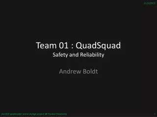 Team 01 : QuadSquad Safety and Reliability