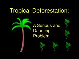 Tropical Deforestation :