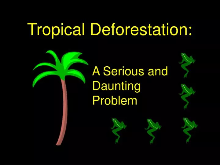 tropical deforestation