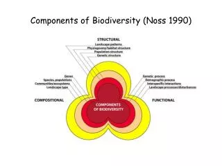 components of biodiversity noss 1990