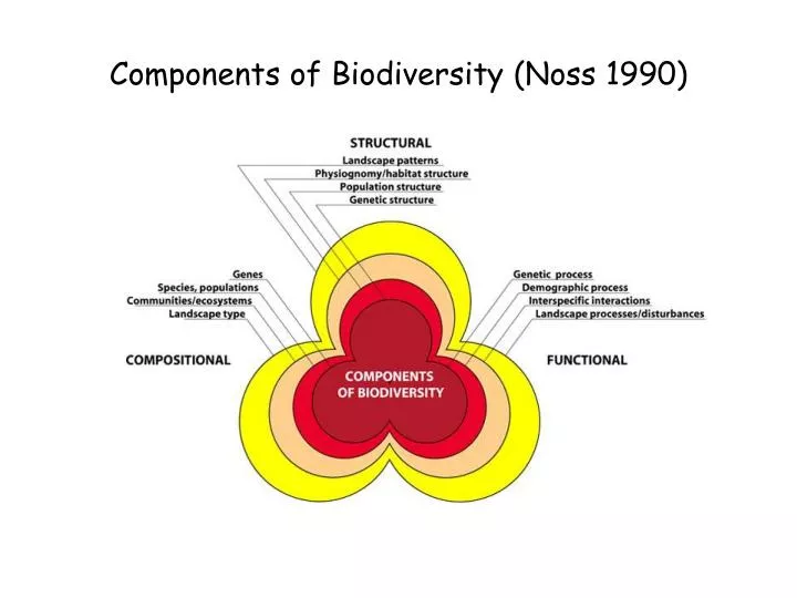 components of biodiversity noss 1990