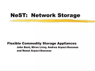 NeST: Network Storage