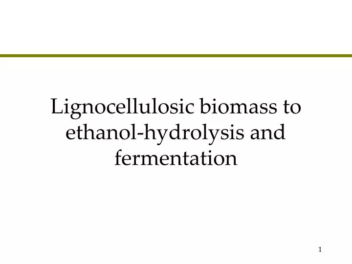 lignocellulosic biomass to ethanol hydrolysis and fermentation