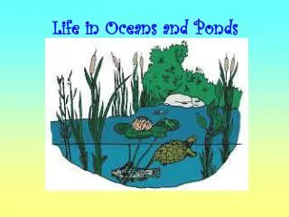 Life in Oceans and Ponds