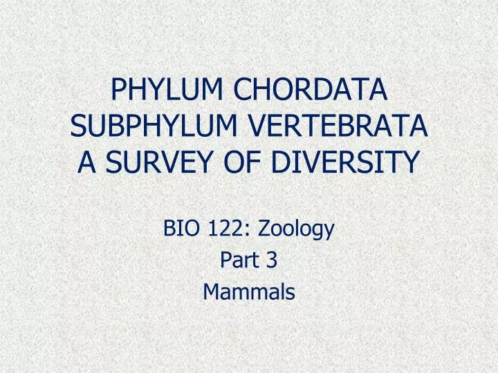 phylum chordata subphylum vertebrata a survey of diversity
