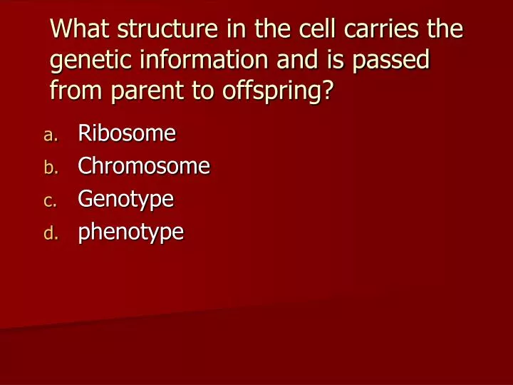 what structure in the cell carries the genetic information and is passed from parent to offspring