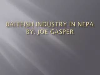Baitfish Industry in Nepa By: Joe Gasper