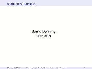 Beam Loss Detection