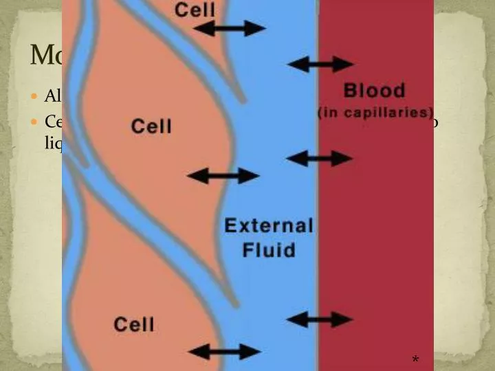 movement through cells