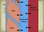 Understanding Cell Membrane Dynamics and Solution Concentration in Organisms - slide 1