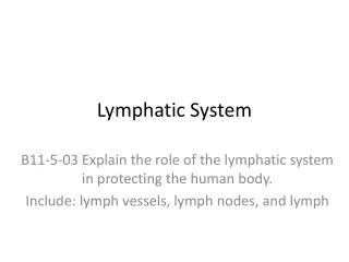 lymphatic system
