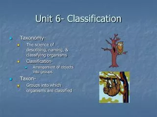 Unit 6- Classification
