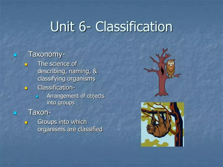 unit 6 classification