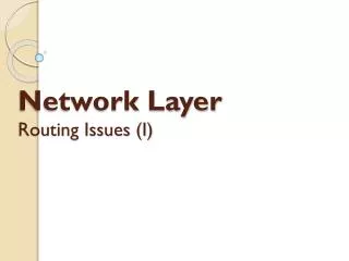 Network Layer Routing Issues (I)