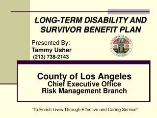 County of Los Angeles Chief Executive Office Risk Management Branch