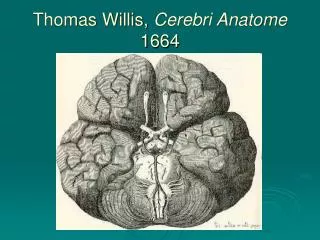 Thomas Willis, Cerebri Anatome 1664