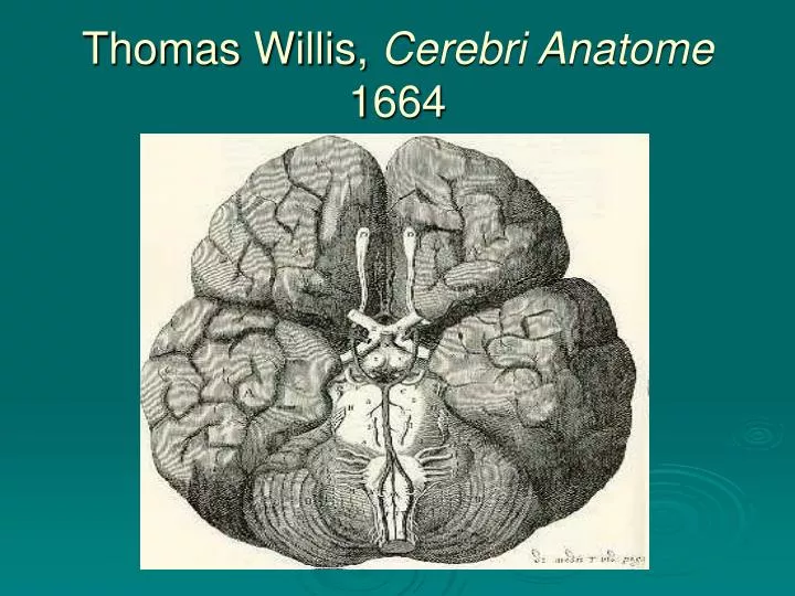 thomas willis cerebri anatome 1664
