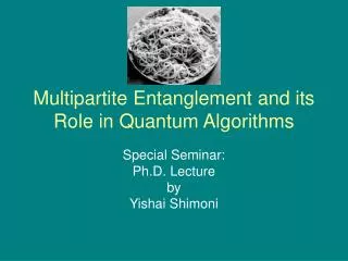 Multipartite Entanglement and its Role in Quantum Algorithms