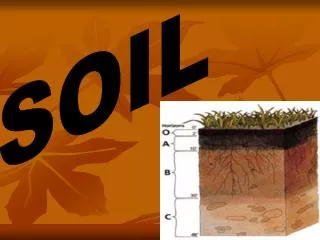 SOIL