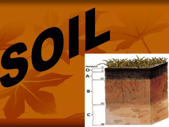 PPT - SOIL PowerPoint Presentation, Free Download - ID:2403318