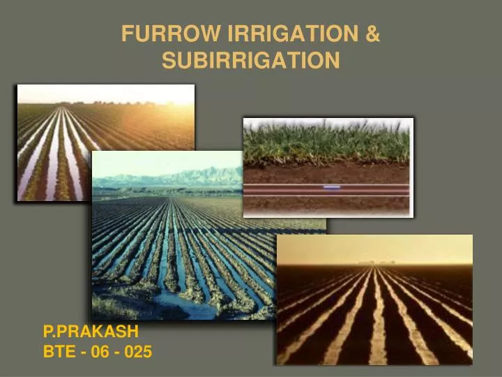 furrow irrigation subirrigation