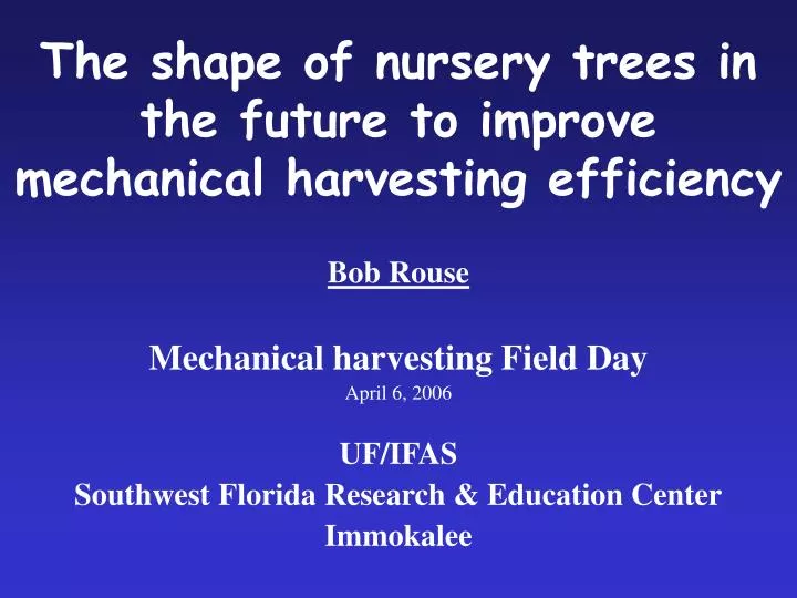 the shape of nursery trees in the future to improve mechanical harvesting efficiency