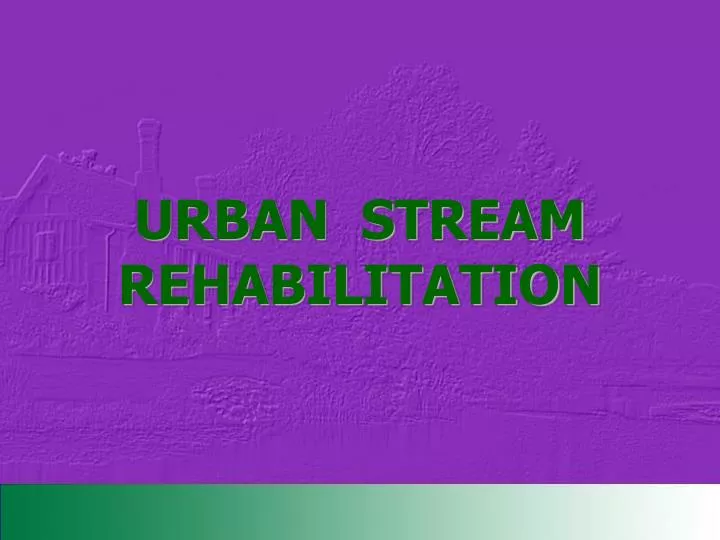 urban stream rehabilitation