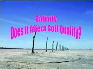 Salinity Does it Affect Soil Quality?