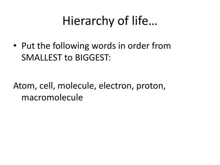 hierarchy of life