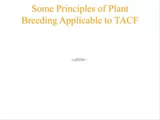 Some Principles of Plant Breeding Applicable to TACF