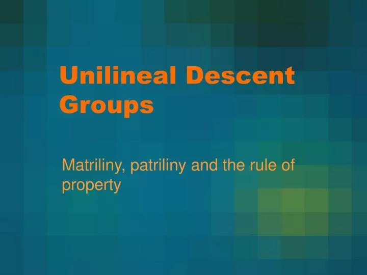 unilineal descent groups