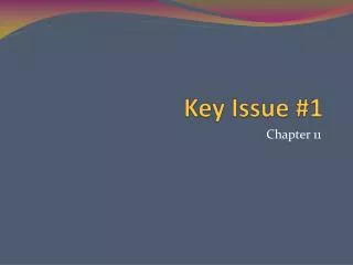 Key Issue #1