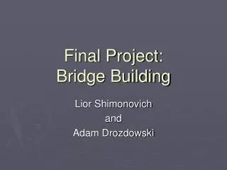 Final Project: Bridge Building