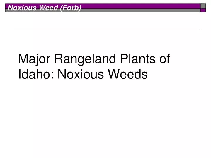 major rangeland plants of idaho noxious weeds