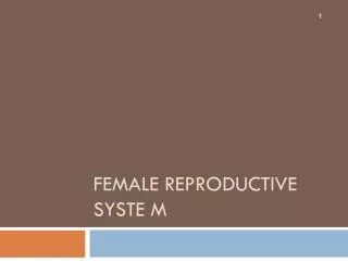 Female reproductive syste M