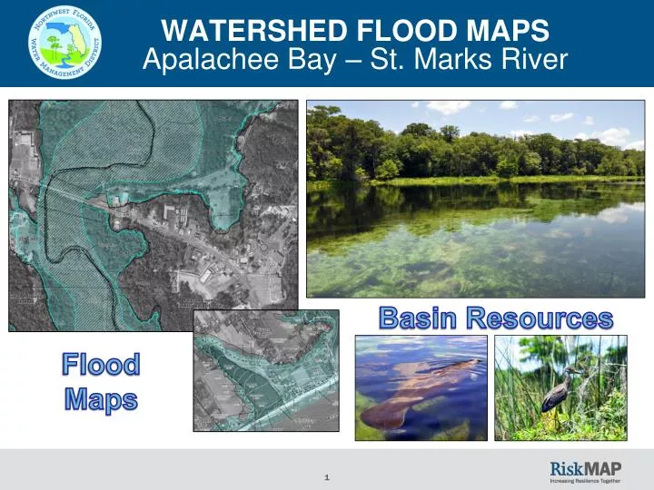 watershed flood maps apalachee bay st marks river