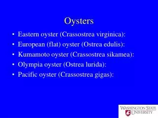 Oysters