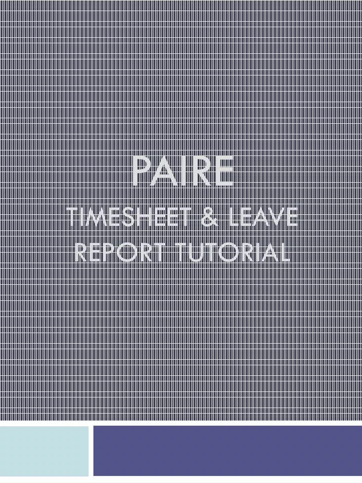 paire timesheet leave report tutorial