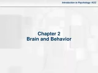 Chapter 2 Brain and Behavior