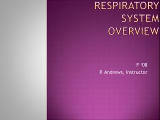 Respiratory System Overview