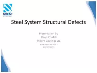 Steel System Structural Defects