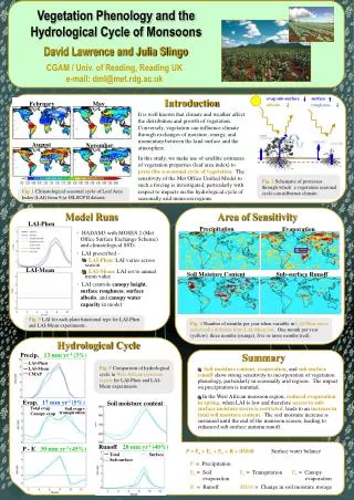 Vegetation Phenology and the Hydrological Cycle of Monsoons