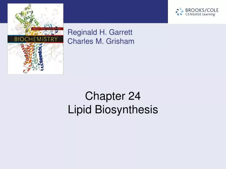 chapter 24 lipid biosynthesis