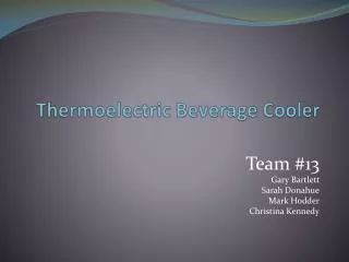 Thermoelectric Beverage Cooler