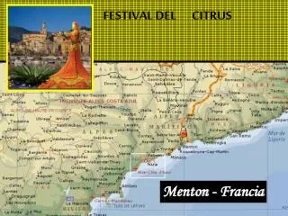 FESTIVAL DEL 	 CITRUS