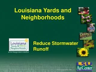 Louisiana Yards and Neighborhoods