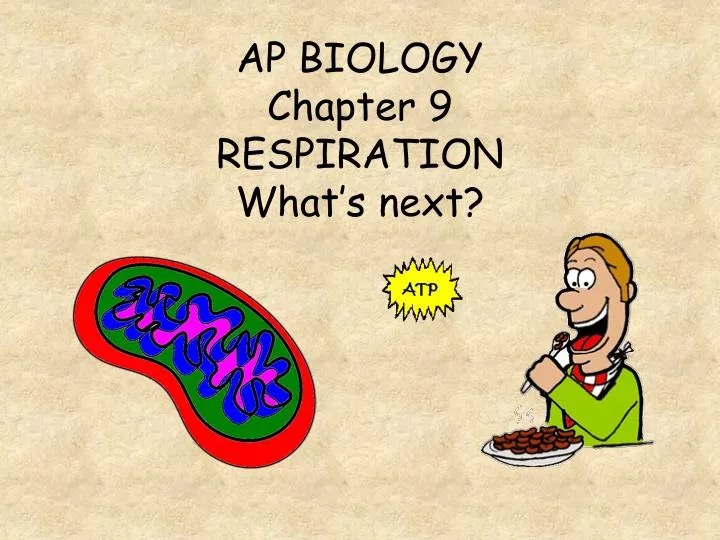 ap biology chapter 9 respiration what s next
