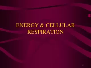 ENERGY &amp; CELLULAR RESPIRATION