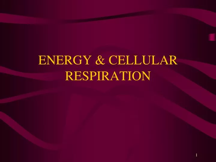 energy cellular respiration